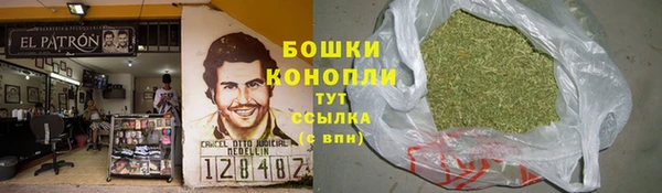 стаф Новодвинск