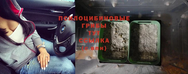MESCALINE Новозыбков