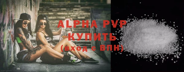 стаф Новодвинск