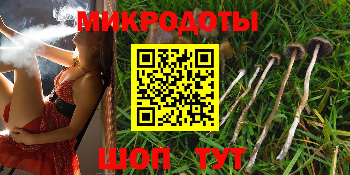 Псилоцибиновые грибы мицелий Соликамск