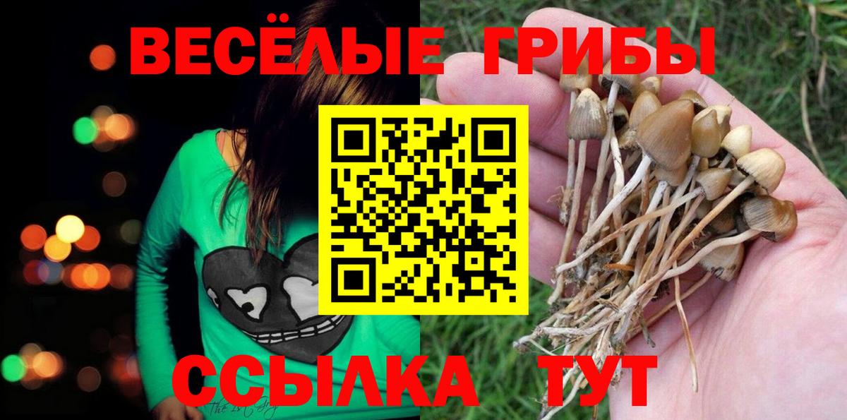 Псилоцибиновые грибы мухоморы  Вход с VPN  Соликамск  Галлюциногенные грибы Magic Shrooms 