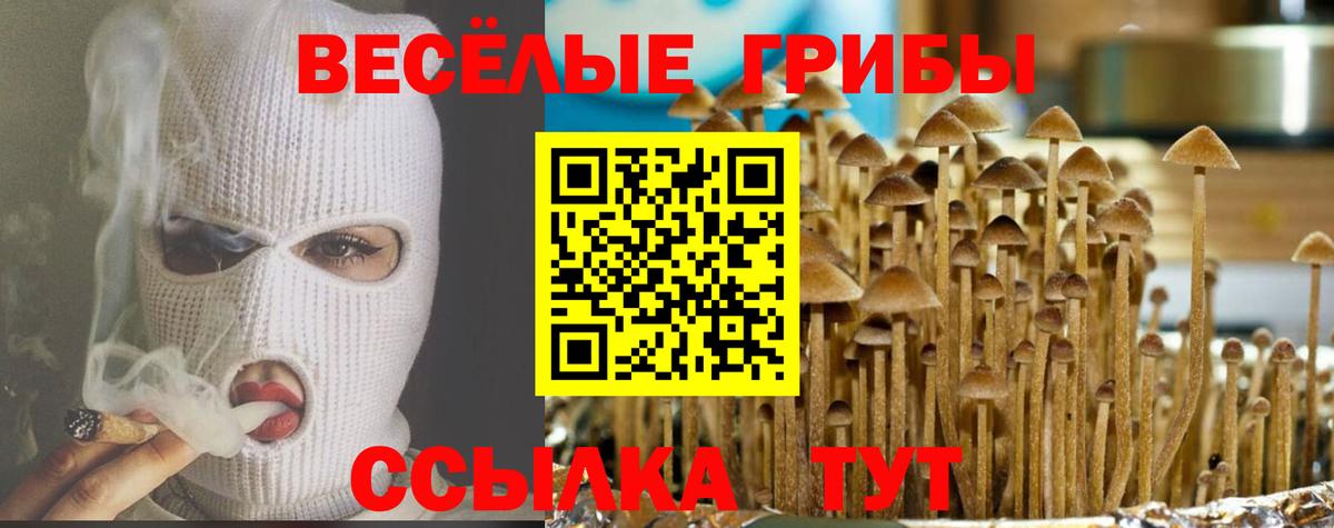 цена наркотик  Псилоцибиновые грибы ЛСД  Соликамск  Псилоцибиновые грибы ЛСД 